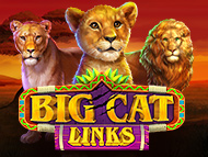 Big Cat Links