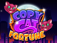 Copy Cat Fortune