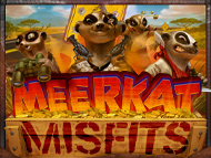 Meerkat Misfits