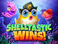 Shelltastic Wins!